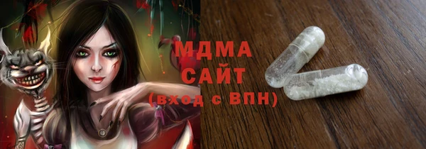 стаф Ельня
