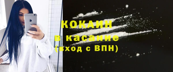 стаф Ельня