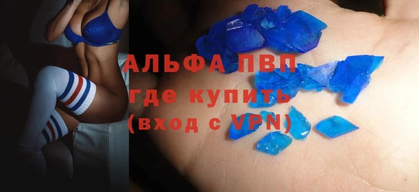 стаф Ельня