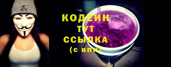 стаф Ельня