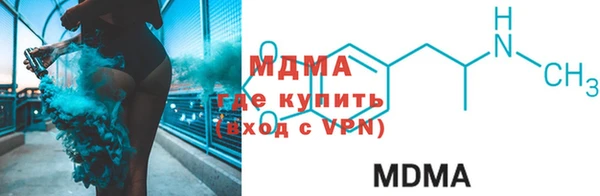 стаф Ельня