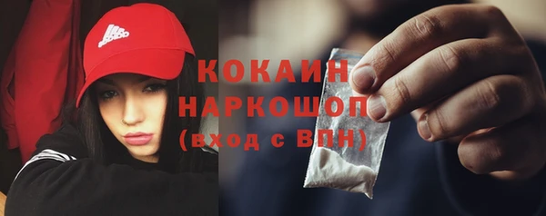 стаф Ельня