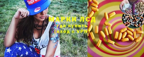 стаф Ельня