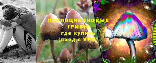 твердый Елабуга