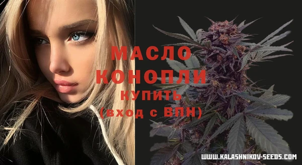 стаф Ельня