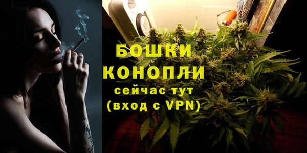стаф Ельня