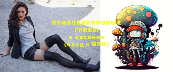 твердый Елабуга
