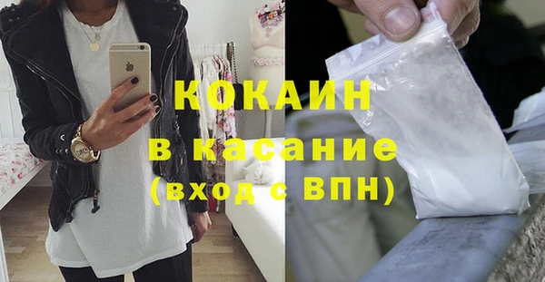стаф Ельня