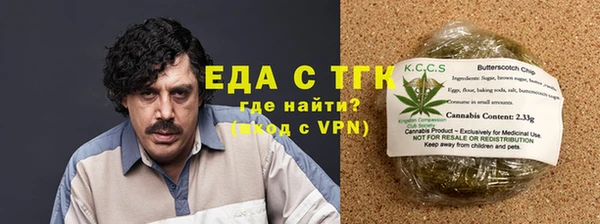 стаф Ельня