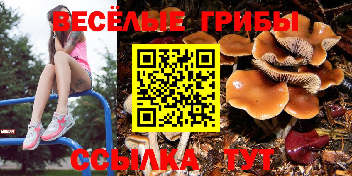 Псилоцибиновые грибы мухоморы Южноуральск