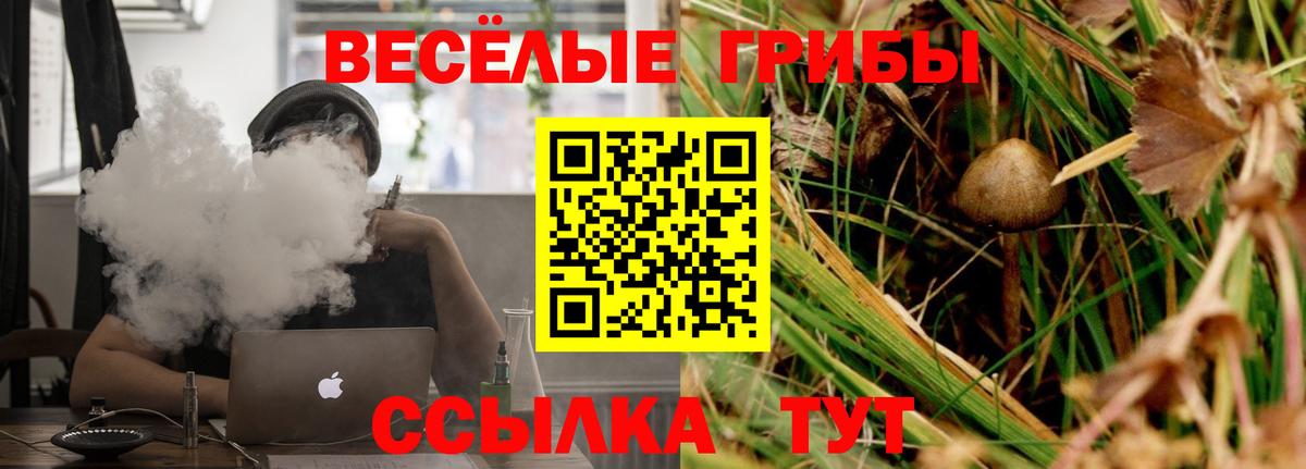 Псилоцибиновые грибы мицелий  Вход с VPN  Южноуральск 